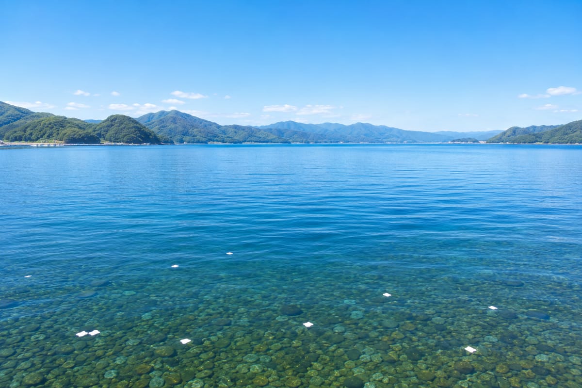 別府湾