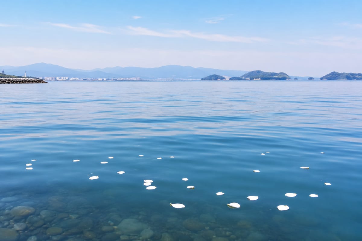 玄界灘・博多湾