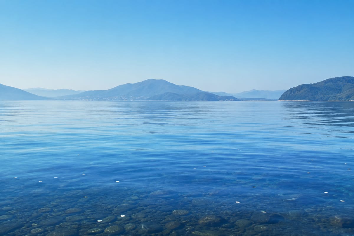 函館湾