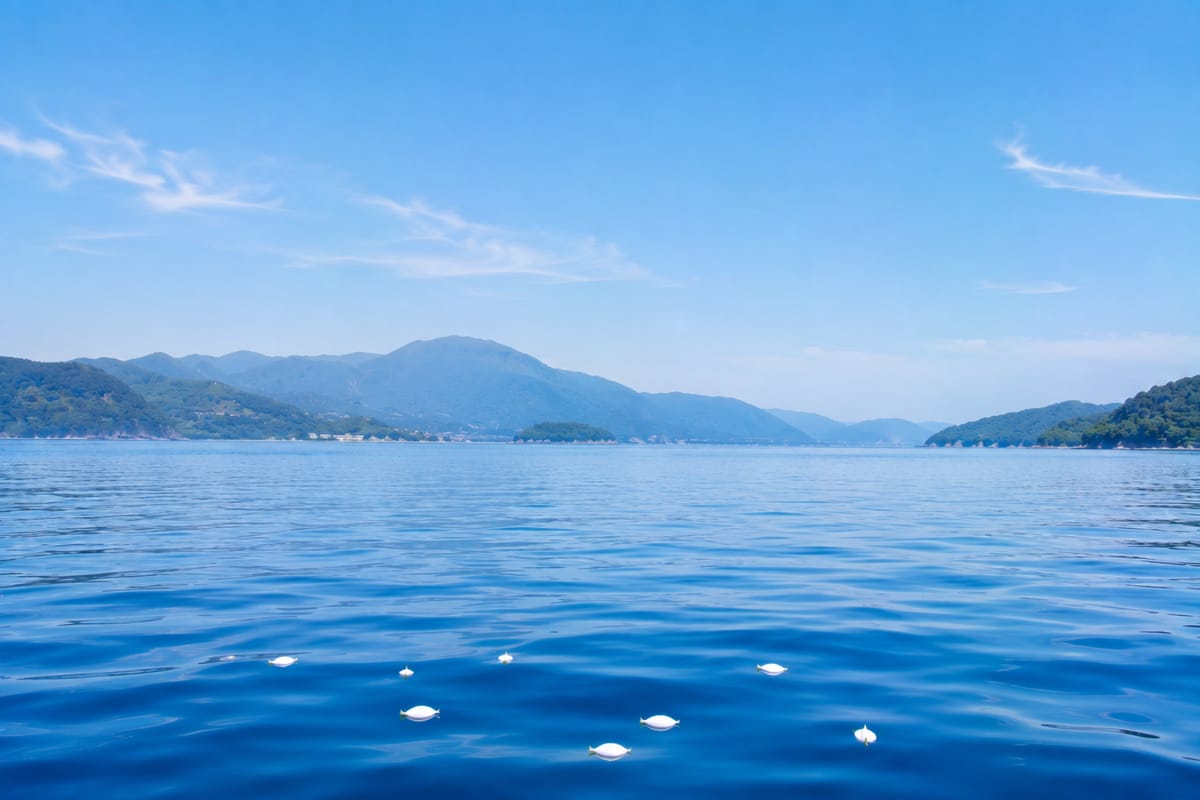 錦江湾・鹿児島沖