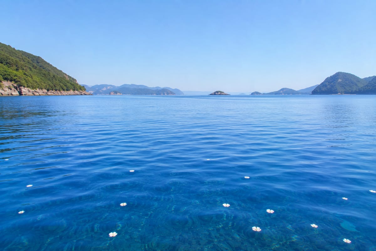 紀伊水道(徳島沖)