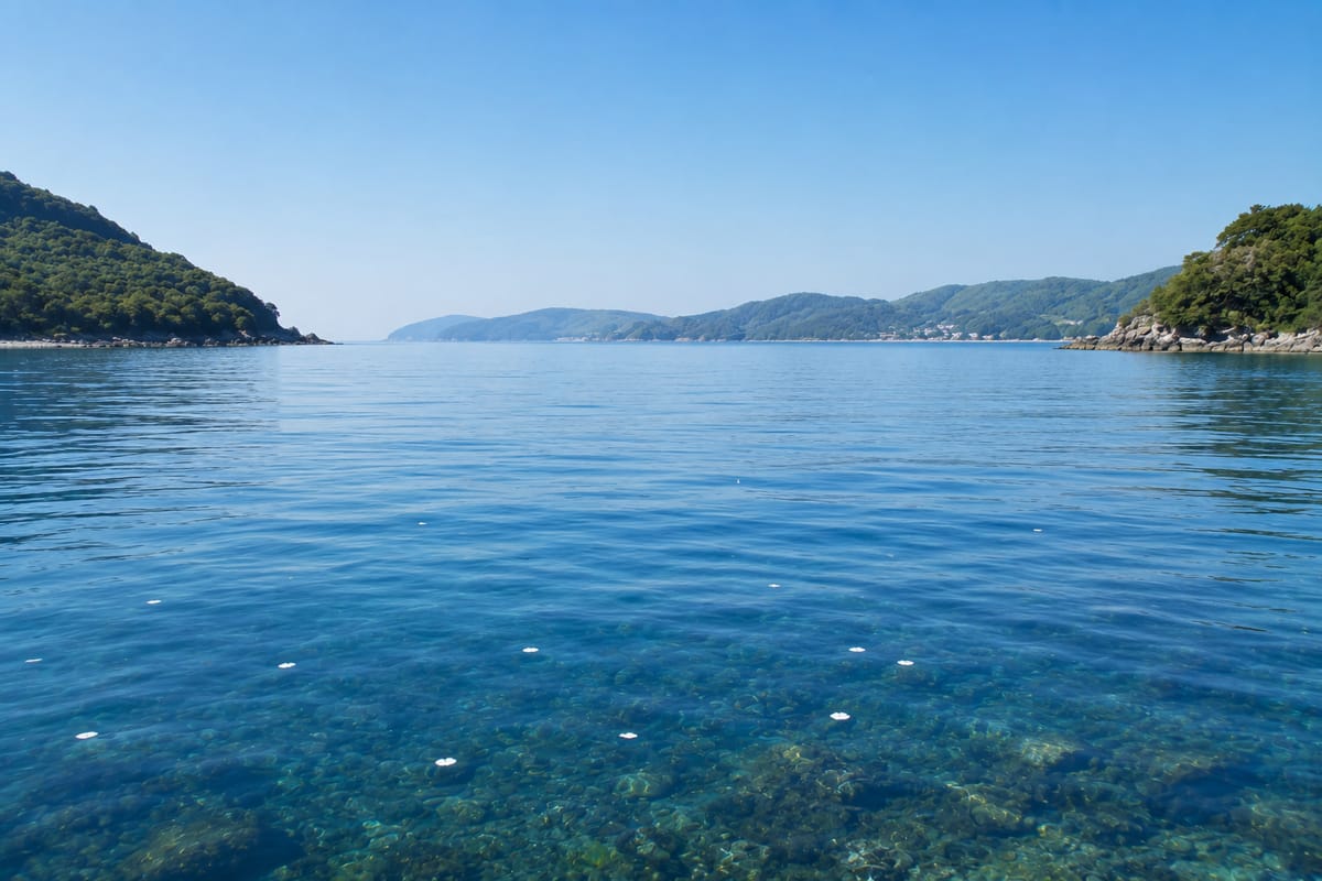 陸奥湾・八戸沖