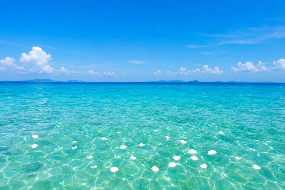 沖縄本島沖