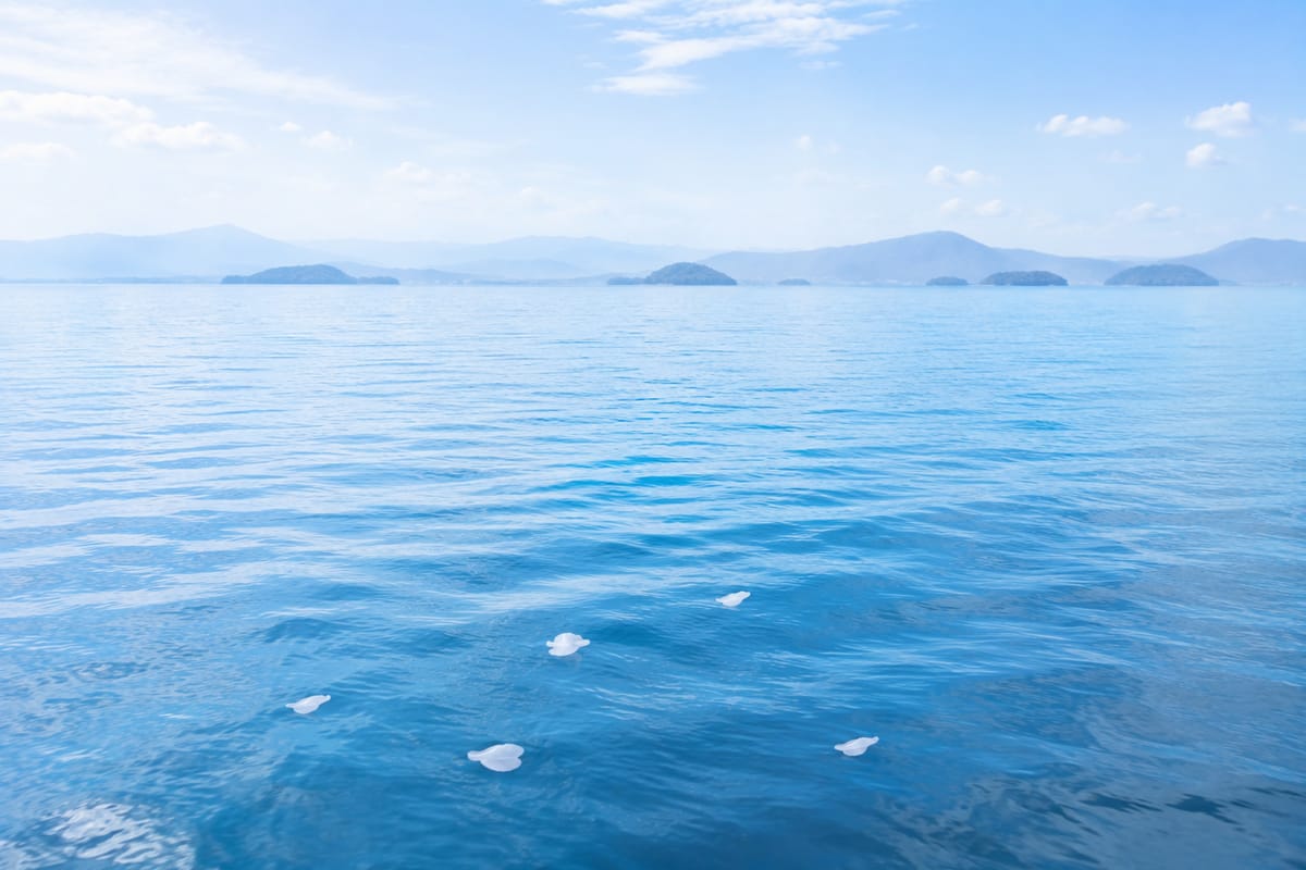相模湾・湘南
