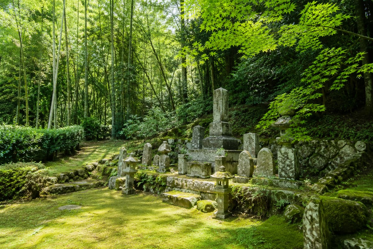 古い遺骨の処分はどうする？無縁仏にしない供養の仕方